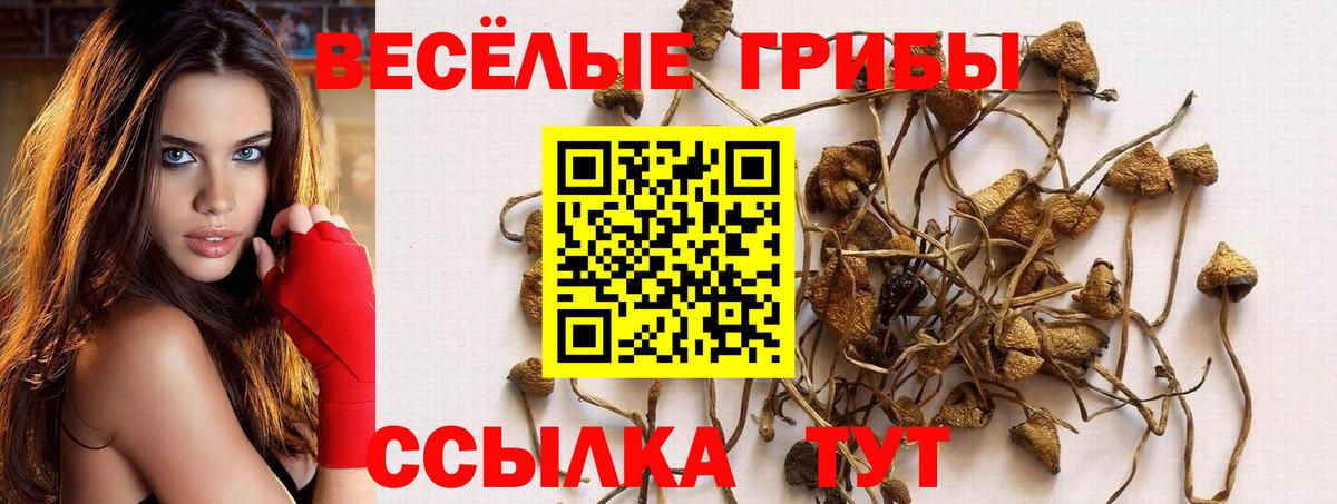Псилоцибиновые грибы Psilocybe  Вход с VPN  Орск 