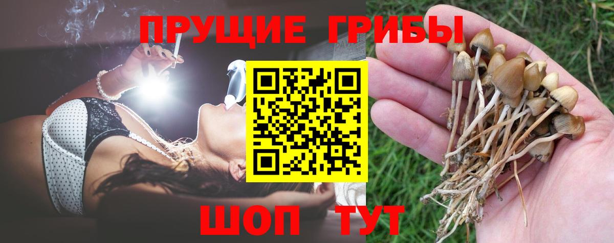 Псилоцибиновые грибы Cubensis Орск